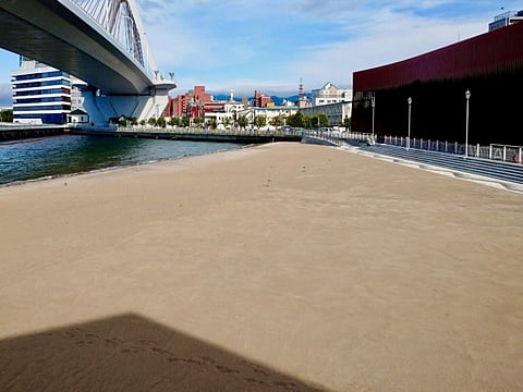 3. 青森港駅前干潟　施工後