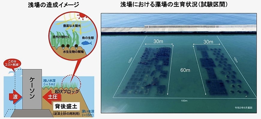 浅場の造成イメージ、藻場の育成状況（国土交通省PDFより引用）